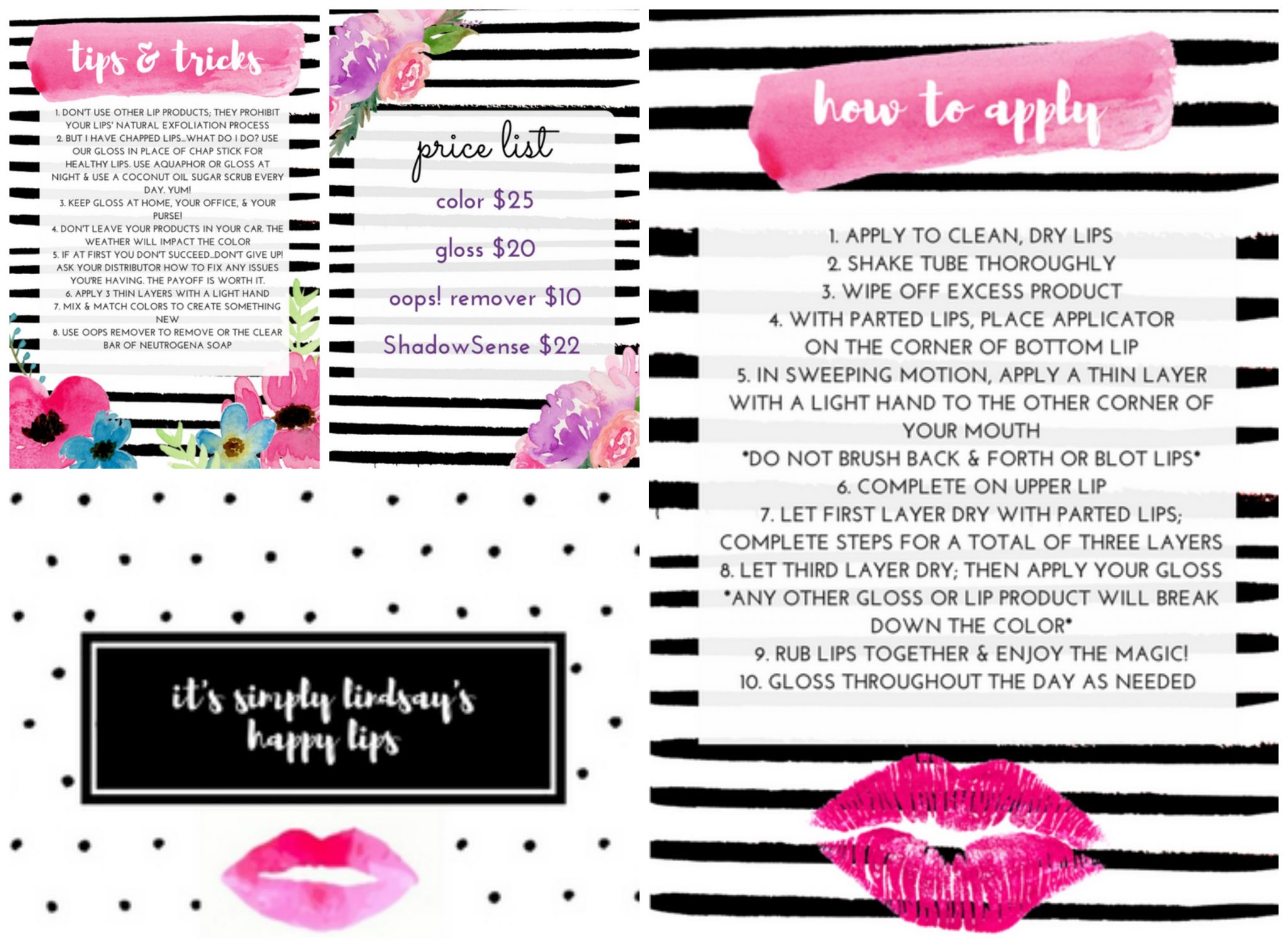 Distributor Approved LipSense Carrying Case It s Simply Lindsay